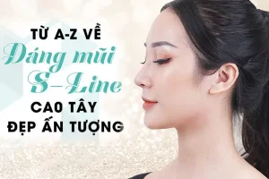 Dáng mũi Sline cao tây là gì? Tiết lộ 4 dáng mặt phù hợp nhất
